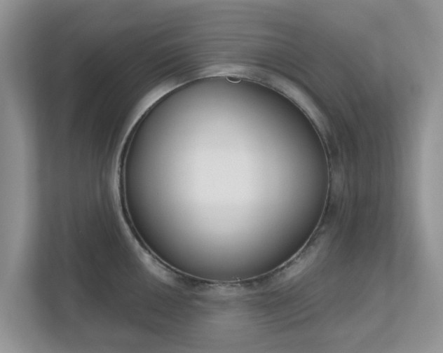 X0000110901050200906251333