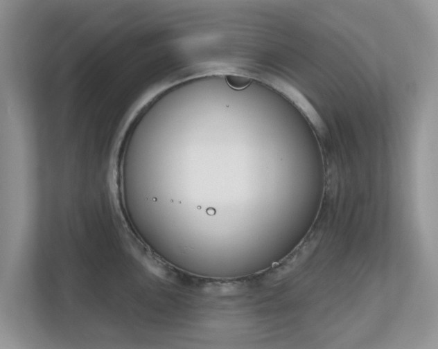 X0000110901051200906251333