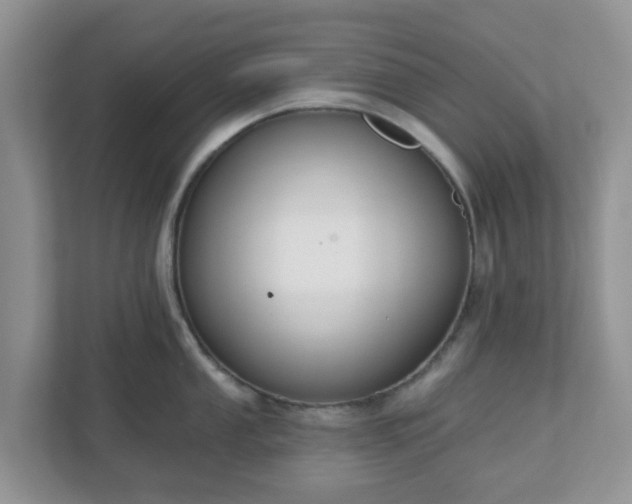X0000110901053200906251334