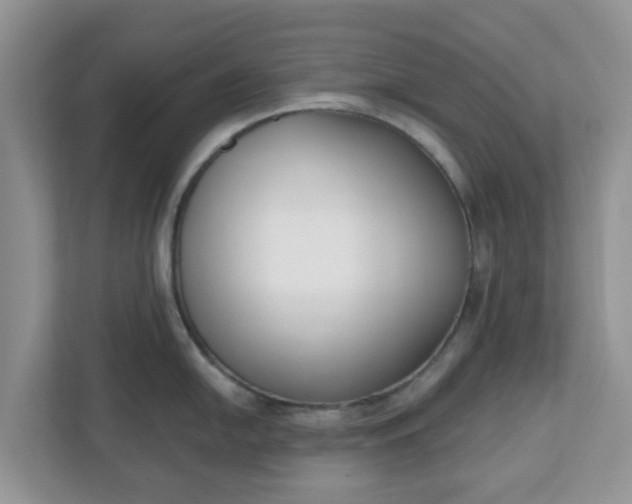 X0000110901054200906251334