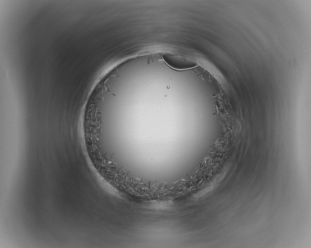 X0000110901055200906251334