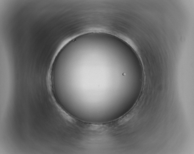 X0000110901056200906251334