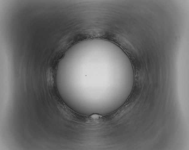 X0000110901058200906251333
