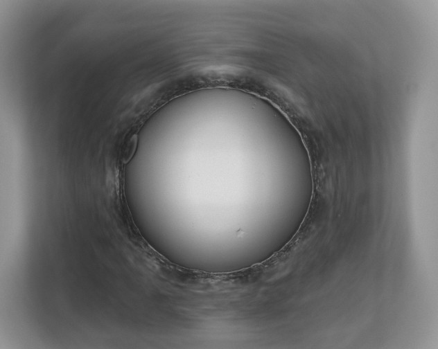 X0000110901061200906251333