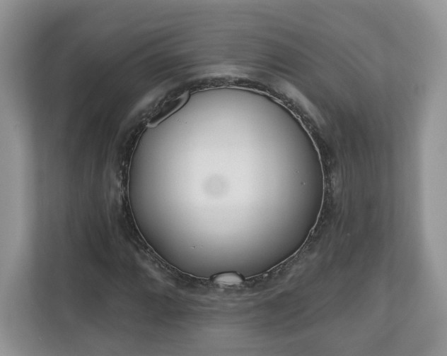 X0000110901064200906251333