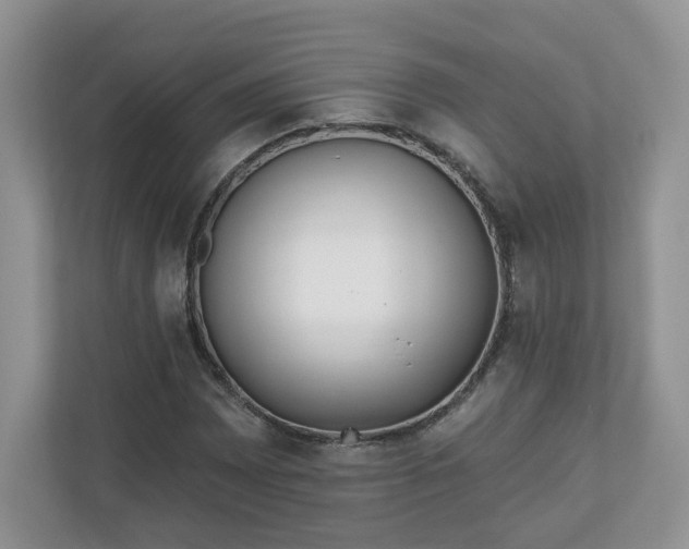X0000110901065200906251333