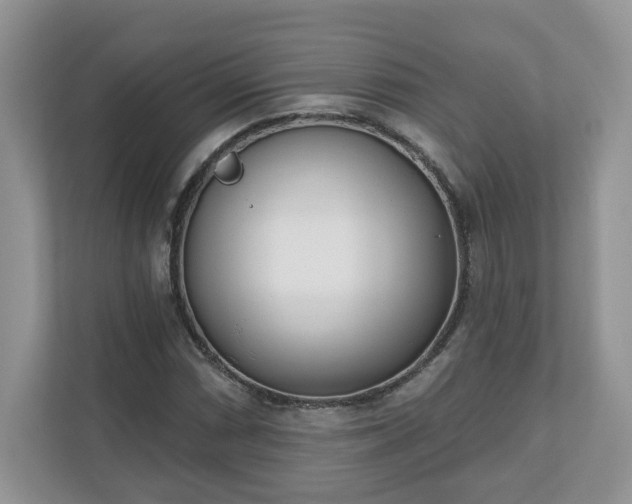 X0000110901066200906251333
