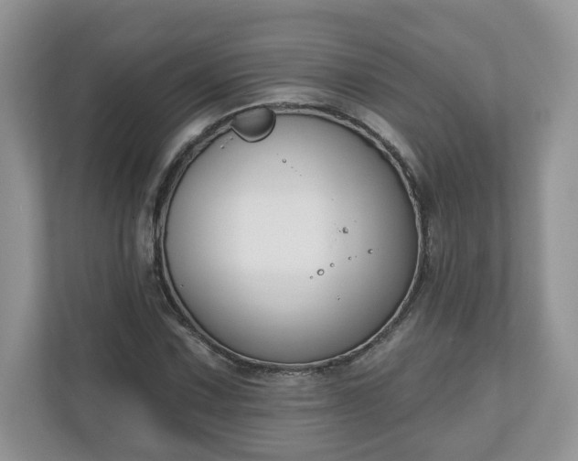X0000110901067200906251333