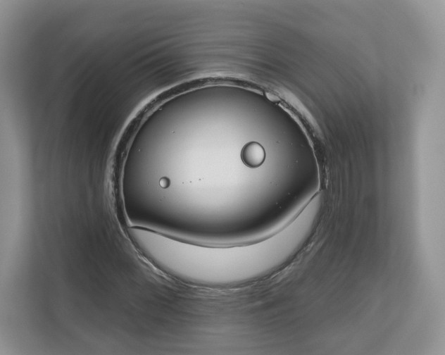 X0000110901068200906251333