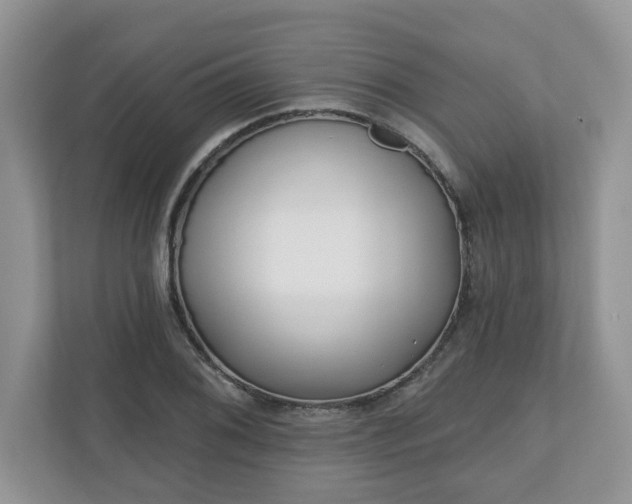X0000110901076200906251333