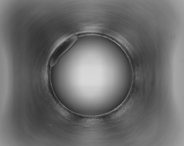 X0000110901077200906251333
