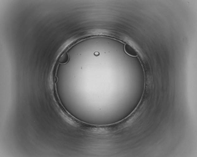 X0000110901082200906251333