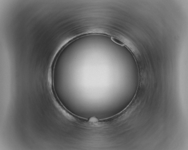 X0000110901084200906251333