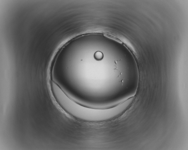 X0000110901088200906251333