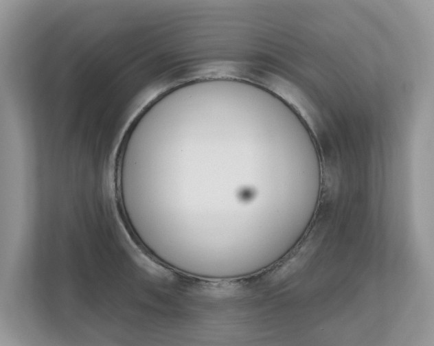 X0000110901090200906251332