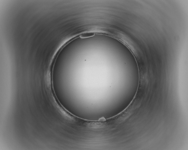 X0000110901092200906251332