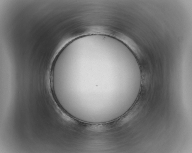 X0000110901094200906251332