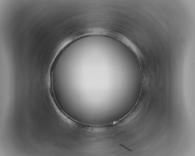 X0000110901095200906251332