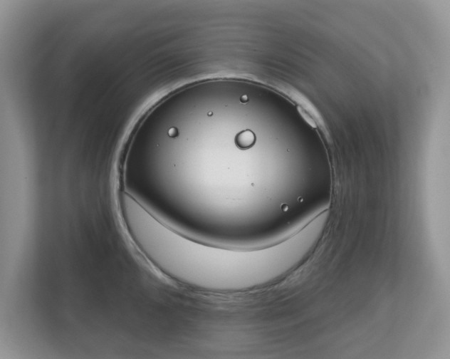 X0000110901096200906251332