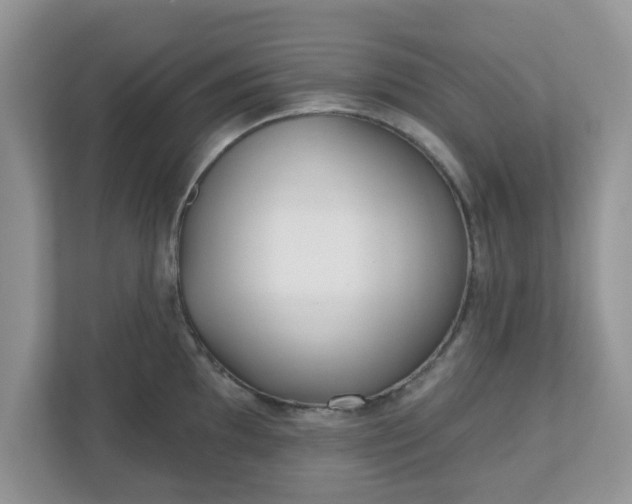 X0000110901097200906251332