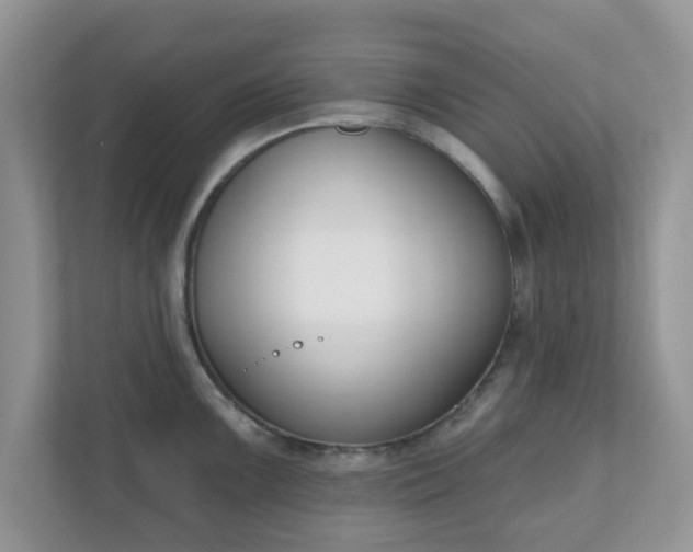 X0000110901099200906251332