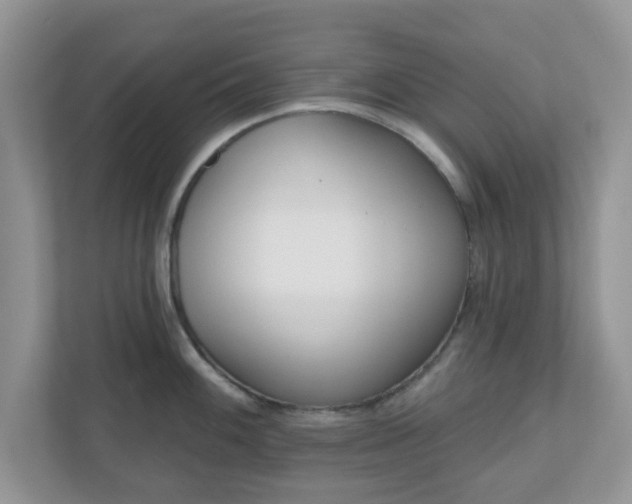 X0000110901100200906251332