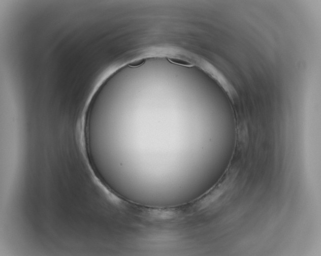 X0000110901103200906251332