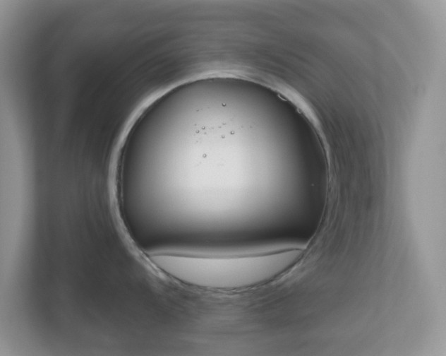 X0000110901104200906251332