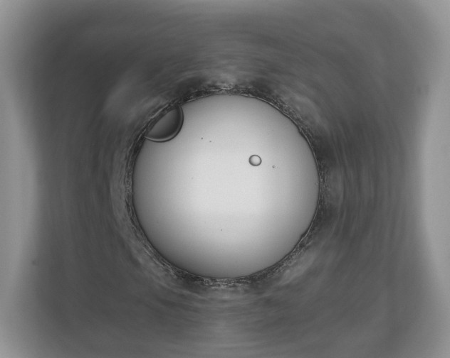 X0000110901105200906251332