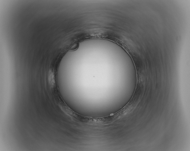 X0000110901106200906251332