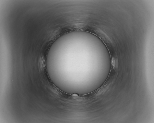 X0000110901107200906251332