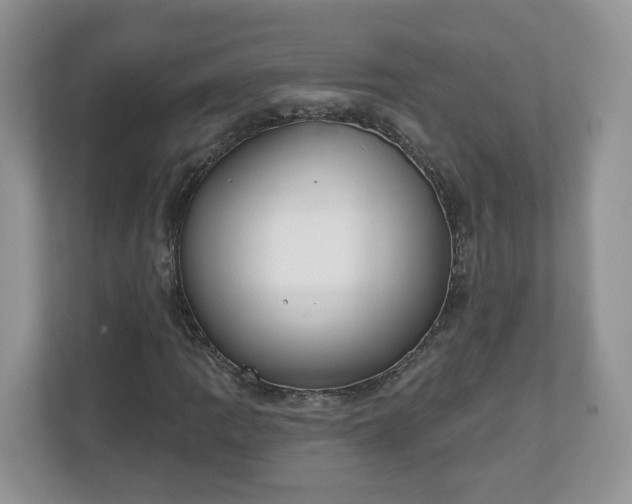 X0000110901109200906251332