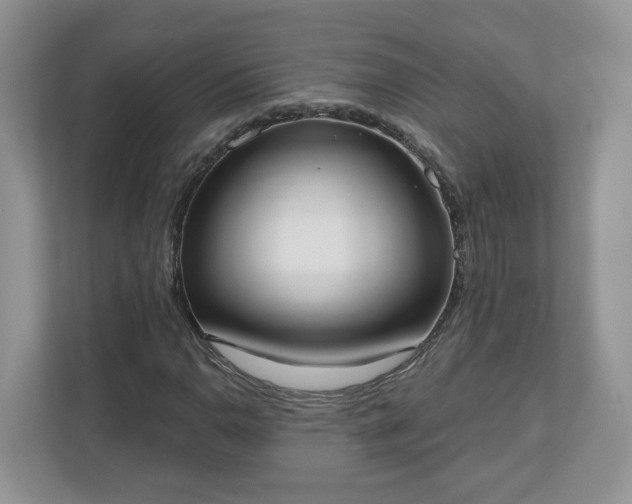 X0000110901110200906251332