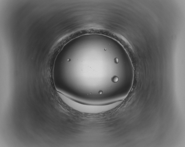X0000110901112200906251332