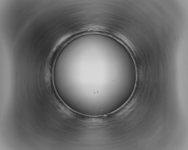 X0000110901115200906251332
