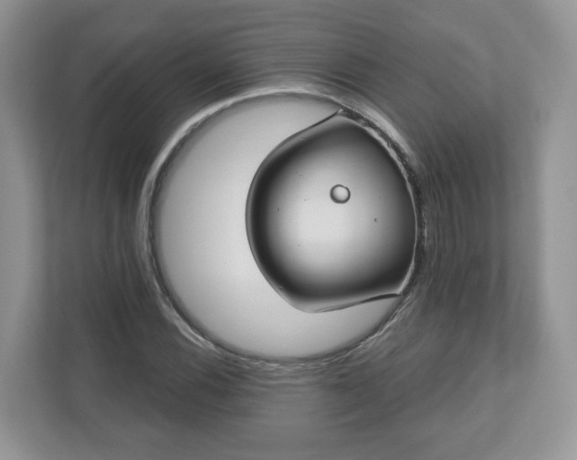 X0000110901116200906251332