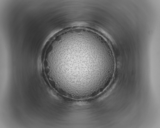 X0000110901117200906251332
