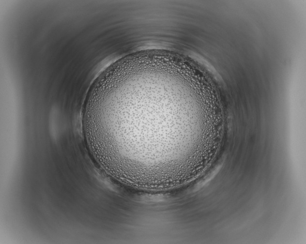 X0000110901121200906251332