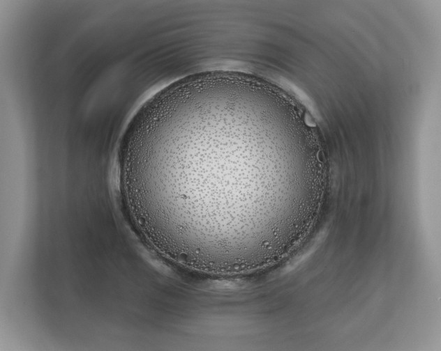 X0000110901125200906251332