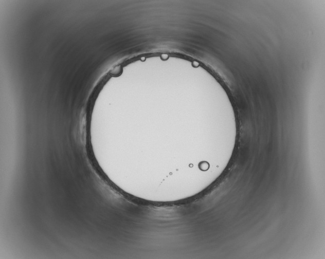X0000110901126200906251332
