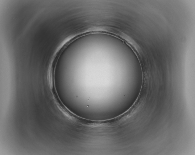 X0000110901127200906251332