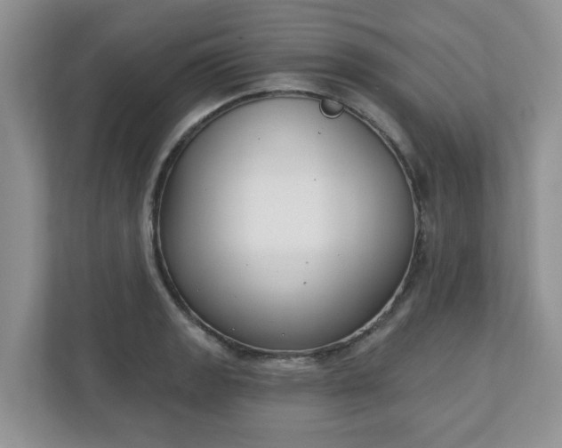 X0000110901133200906251332