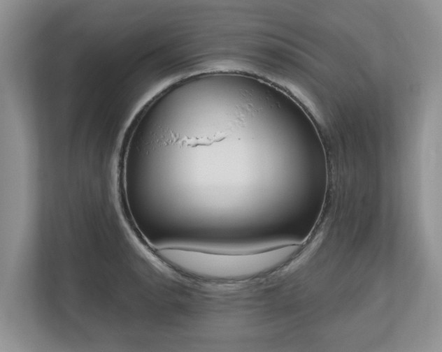 X0000110901134200906251332
