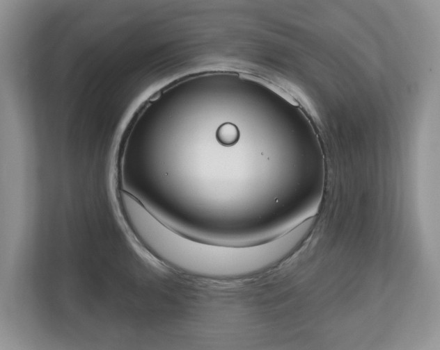 X0000110901136200906251332