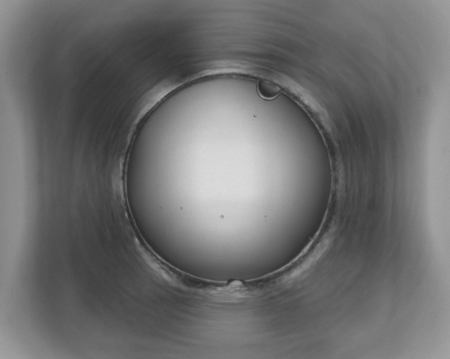 X0000110901137200906251332
