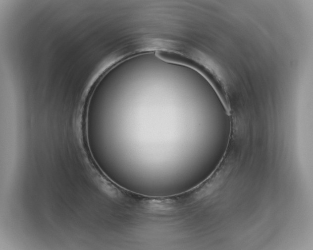 X0000110901138200906251332