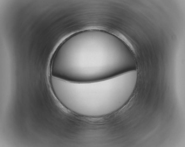 X0000110901140200906251332