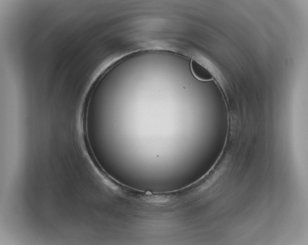 X0000110901141200906251332