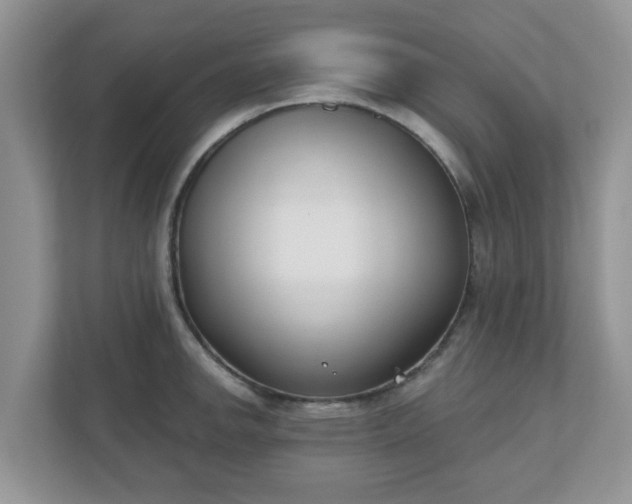 X0000110901142200906251332