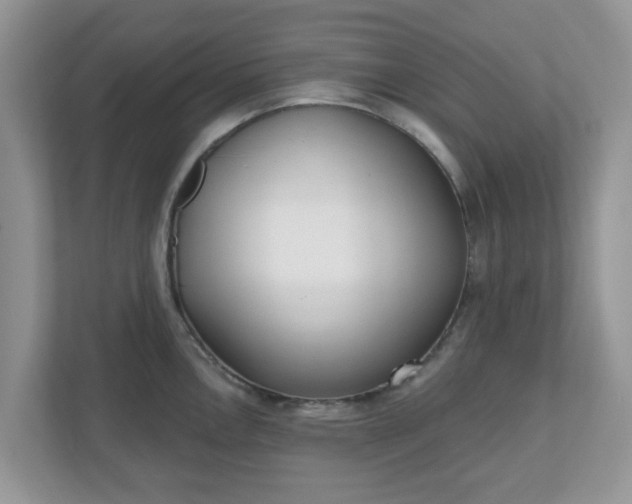 X0000110901146200906251332
